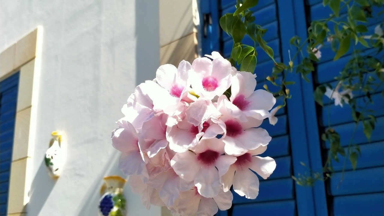 Photo of Outdoor in Latchi