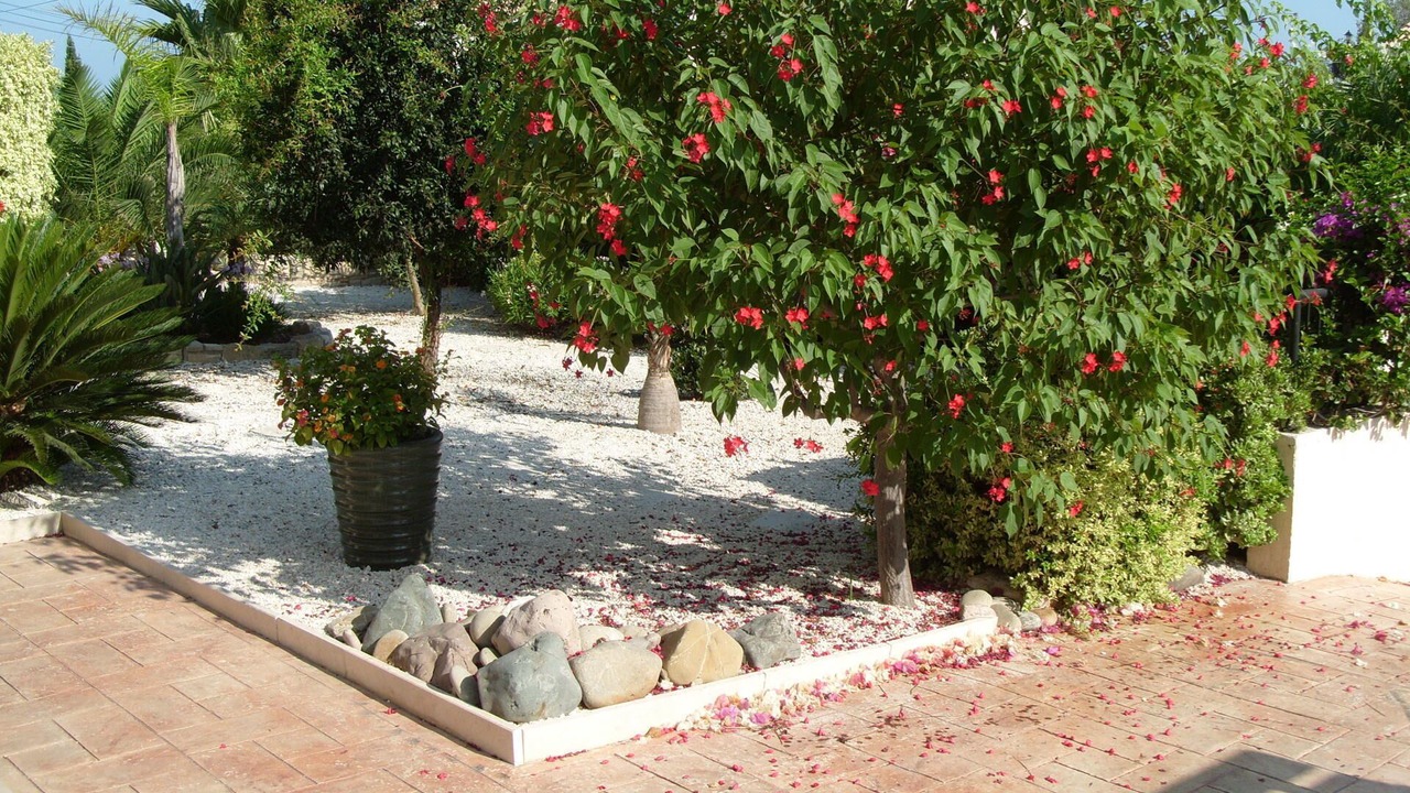 Photo of Outdoor in Latchi