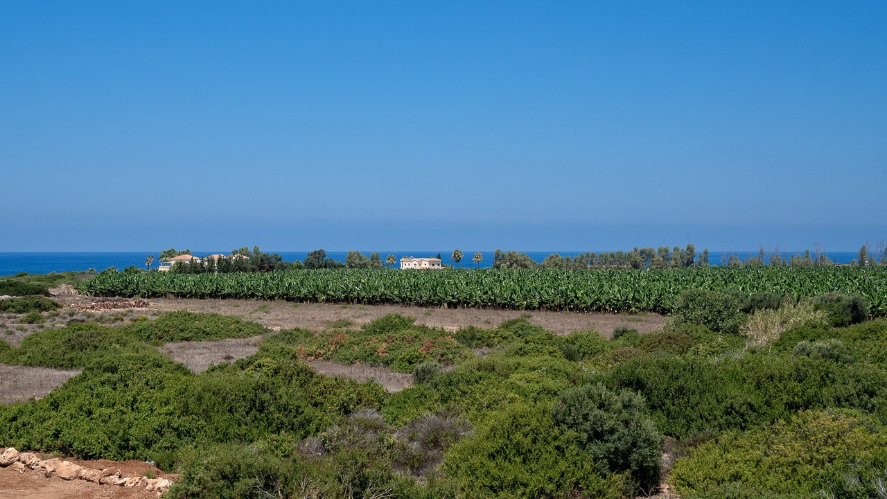 Photo of Others in Pegeia