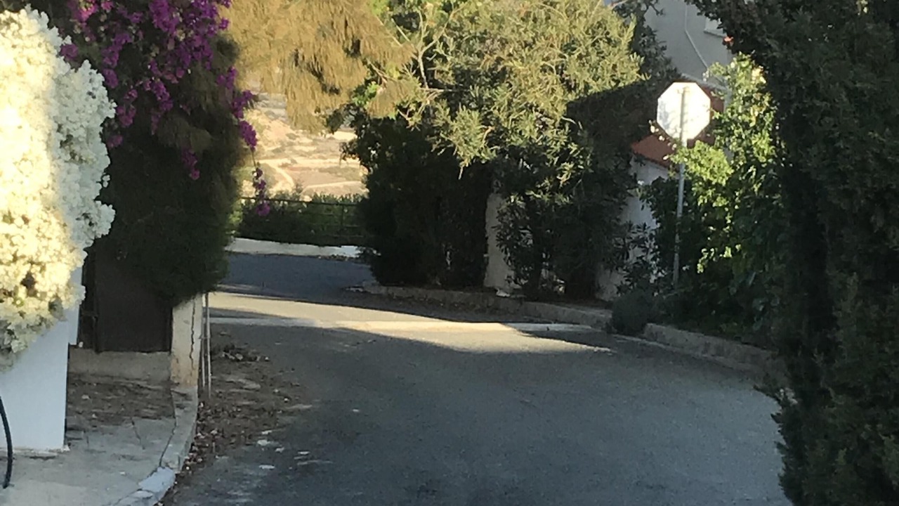 Photo of Others in Pissouri