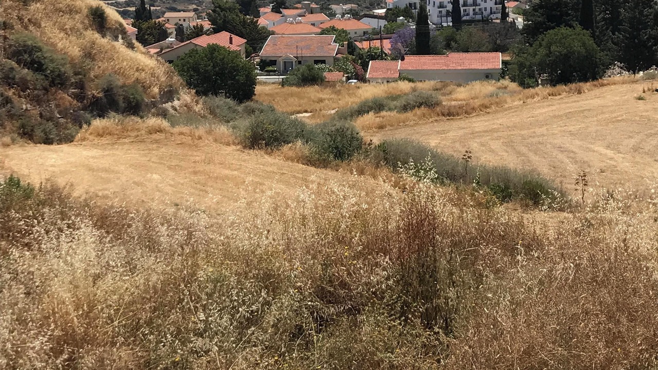 Photo of Others in Pissouri