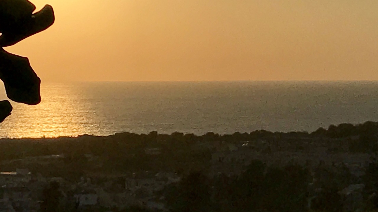 Photo of Others in Pissouri