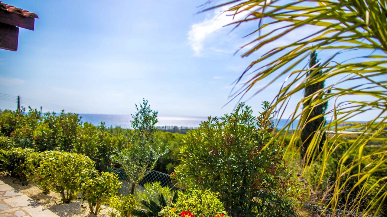 Photo of Outdoor in Pegeia