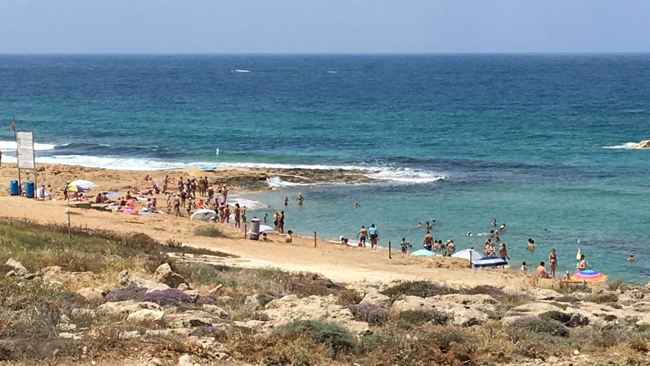 Photo of Others in Paphos
