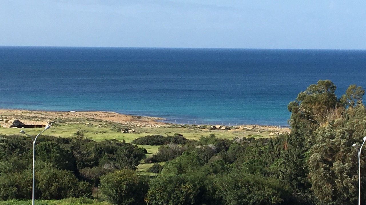 Photo of Others in Paphos
