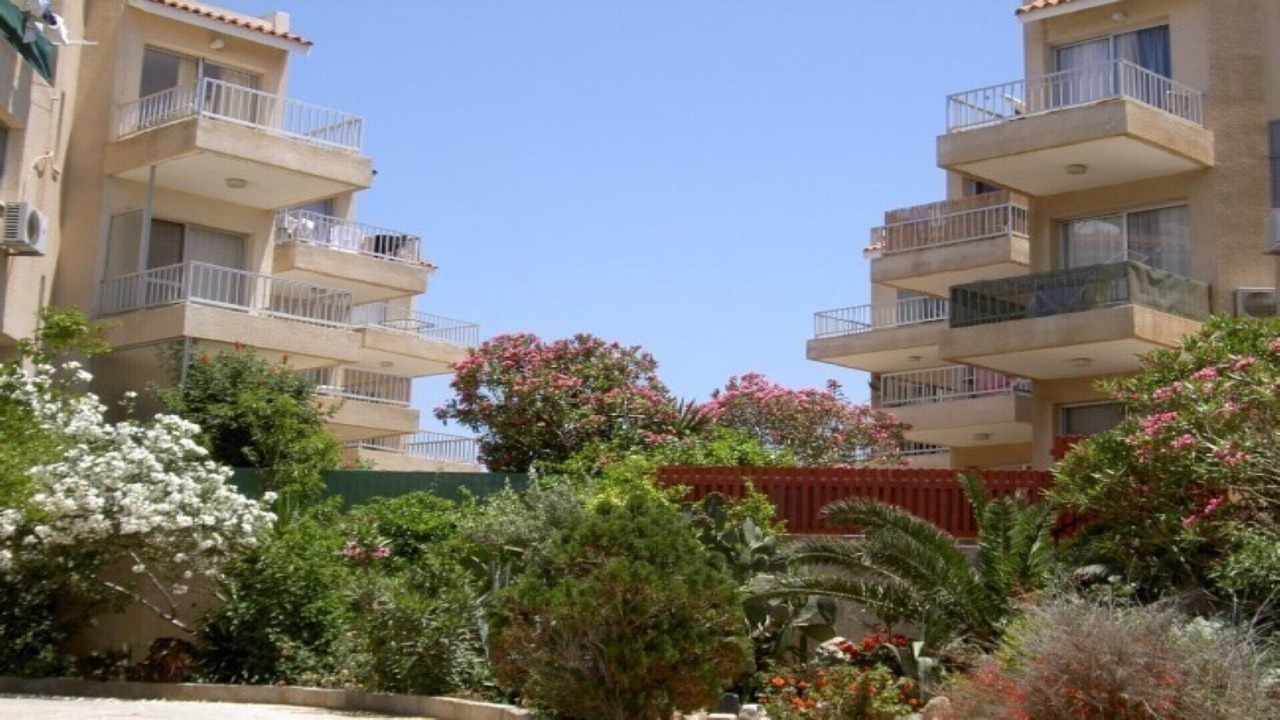 Photo of Others in Paphos