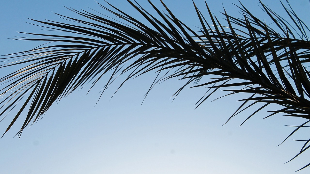 Photo of Outdoor in Peyia Town