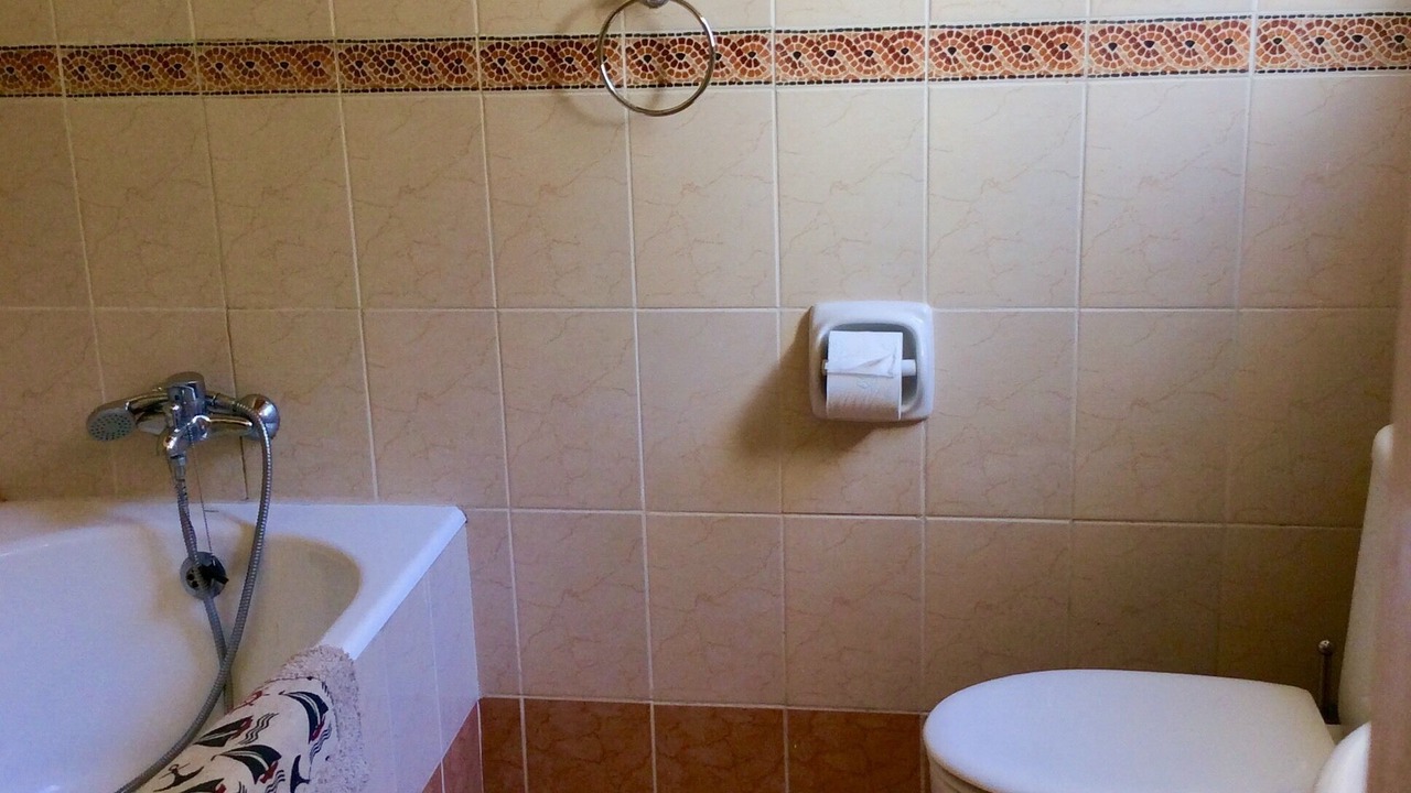 Photo of Bathroom in Psathi