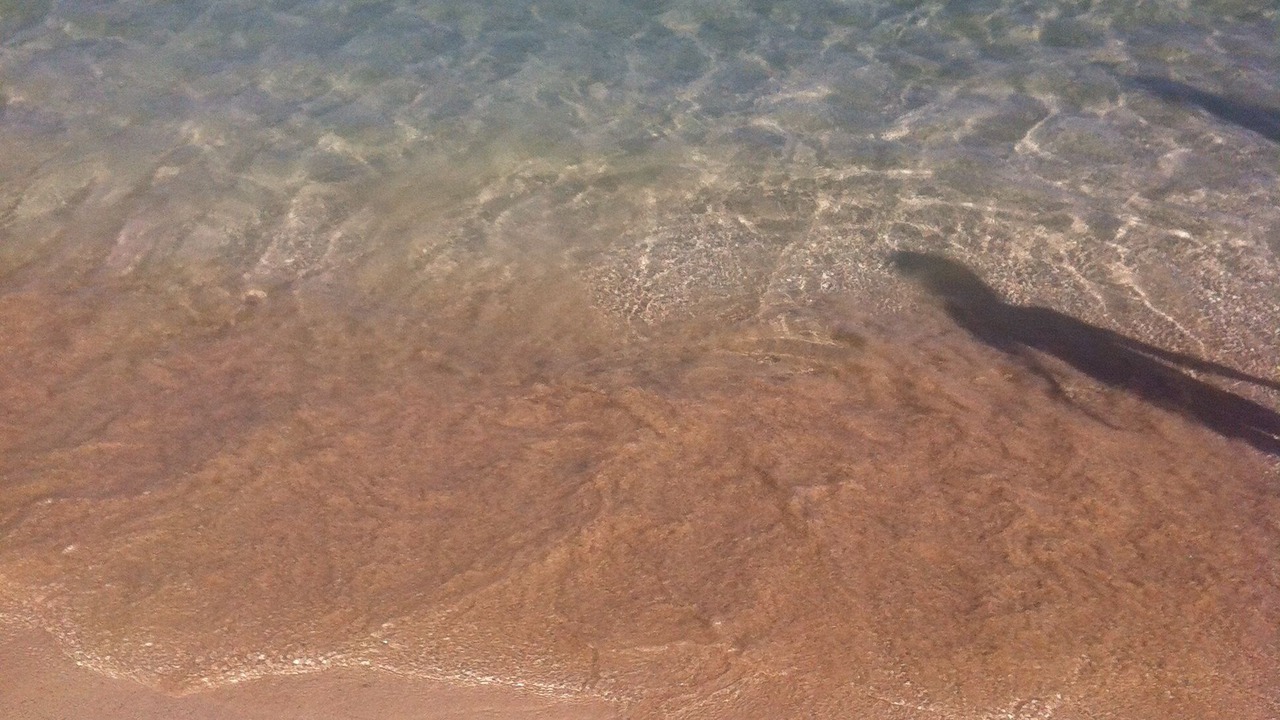 Photo of Others in Cape Greko