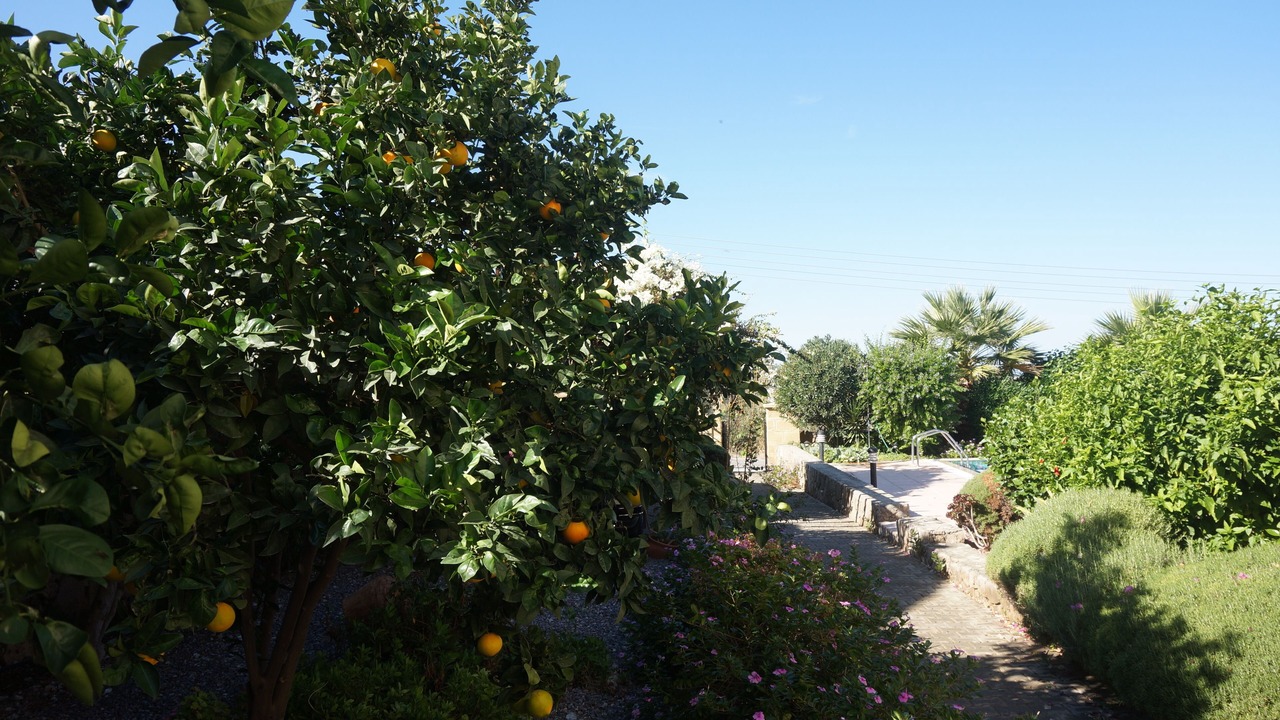 Photo of Outdoor in Dogankoy