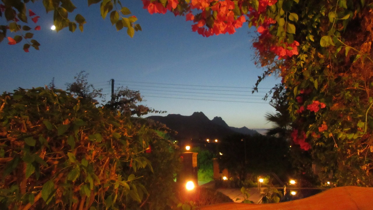 Photo of Outdoor in Dogankoy