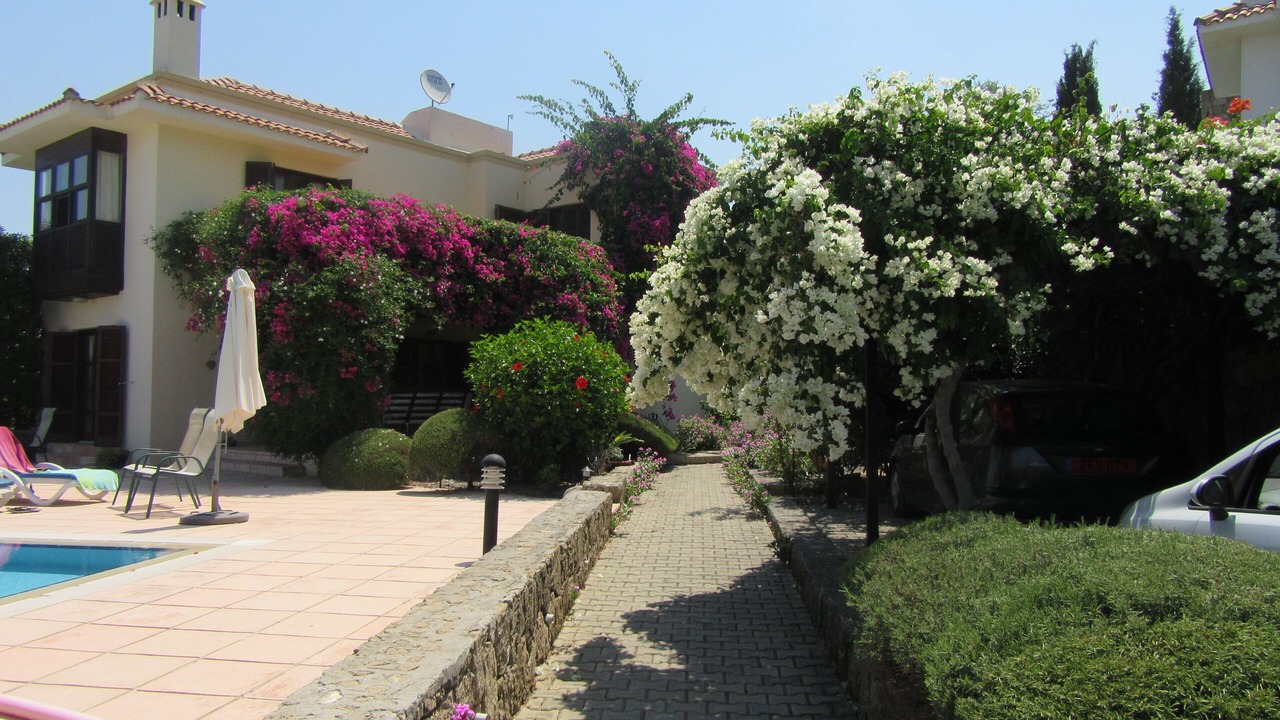 Photo of Outdoor in Dogankoy