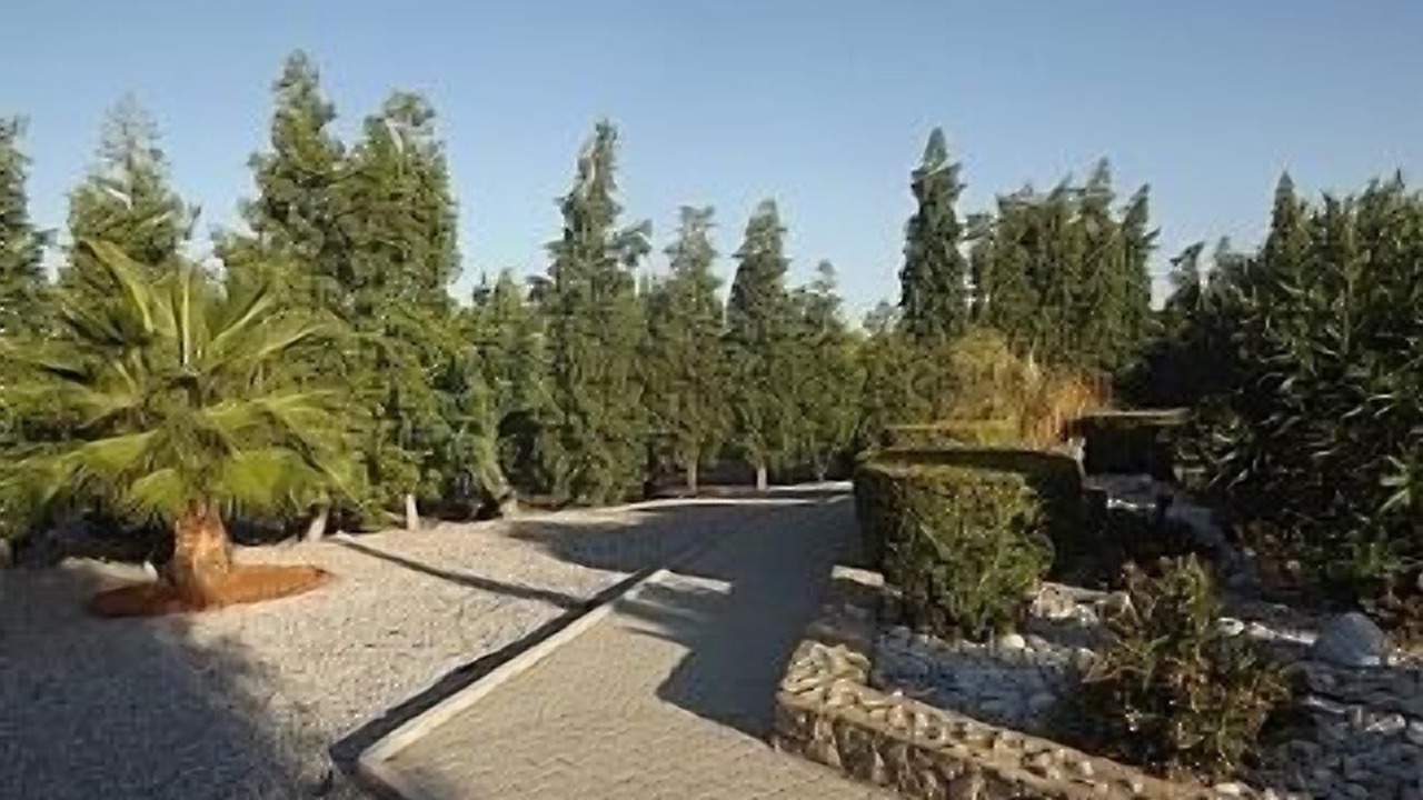Photo of Outdoor in Gozubuyuk
