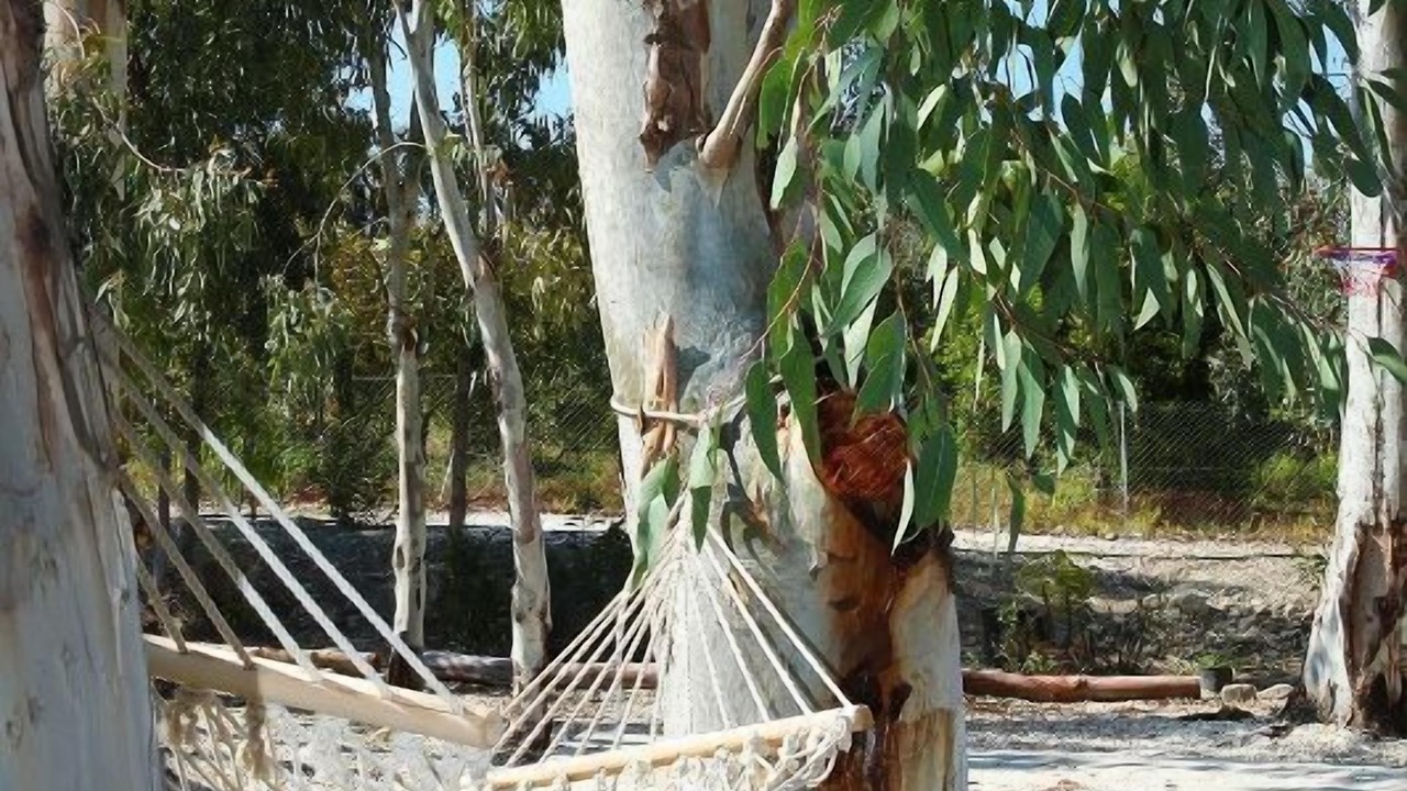 Photo of Others in Goudi
