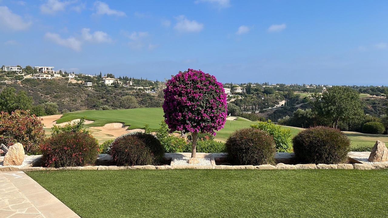 Photo of Outdoor in Aphrodite Hills