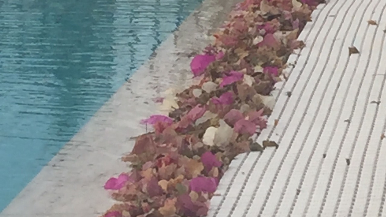 Photo of Outdoor in Esentepe