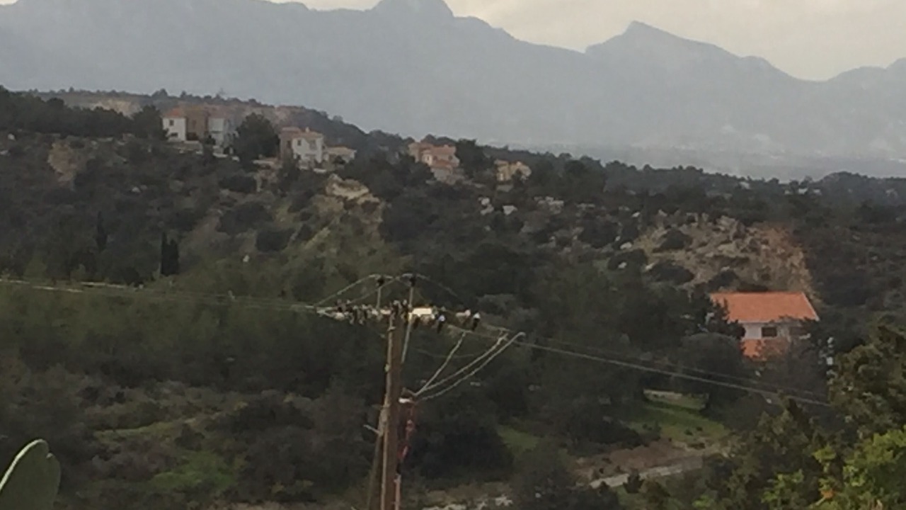 Photo of Others in Esentepe