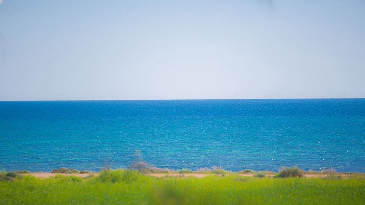 Photo of Others in Ayia Thekla