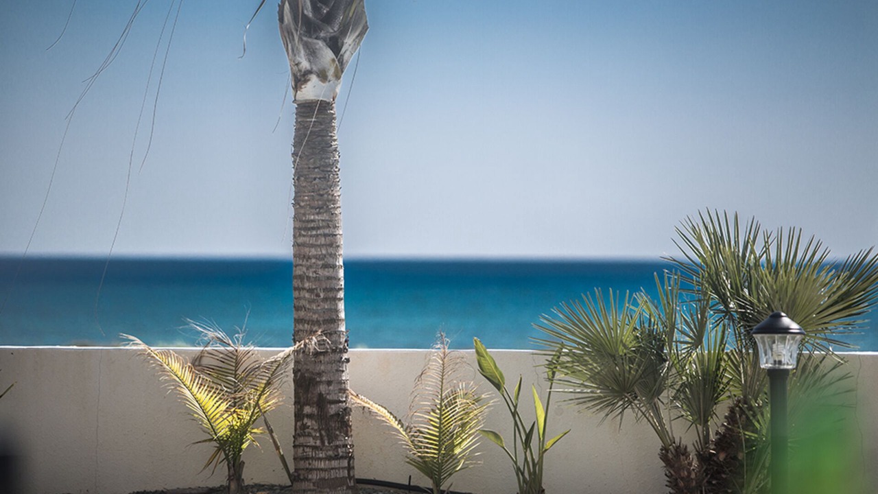 Photo of Outdoor in Ayia Thekla