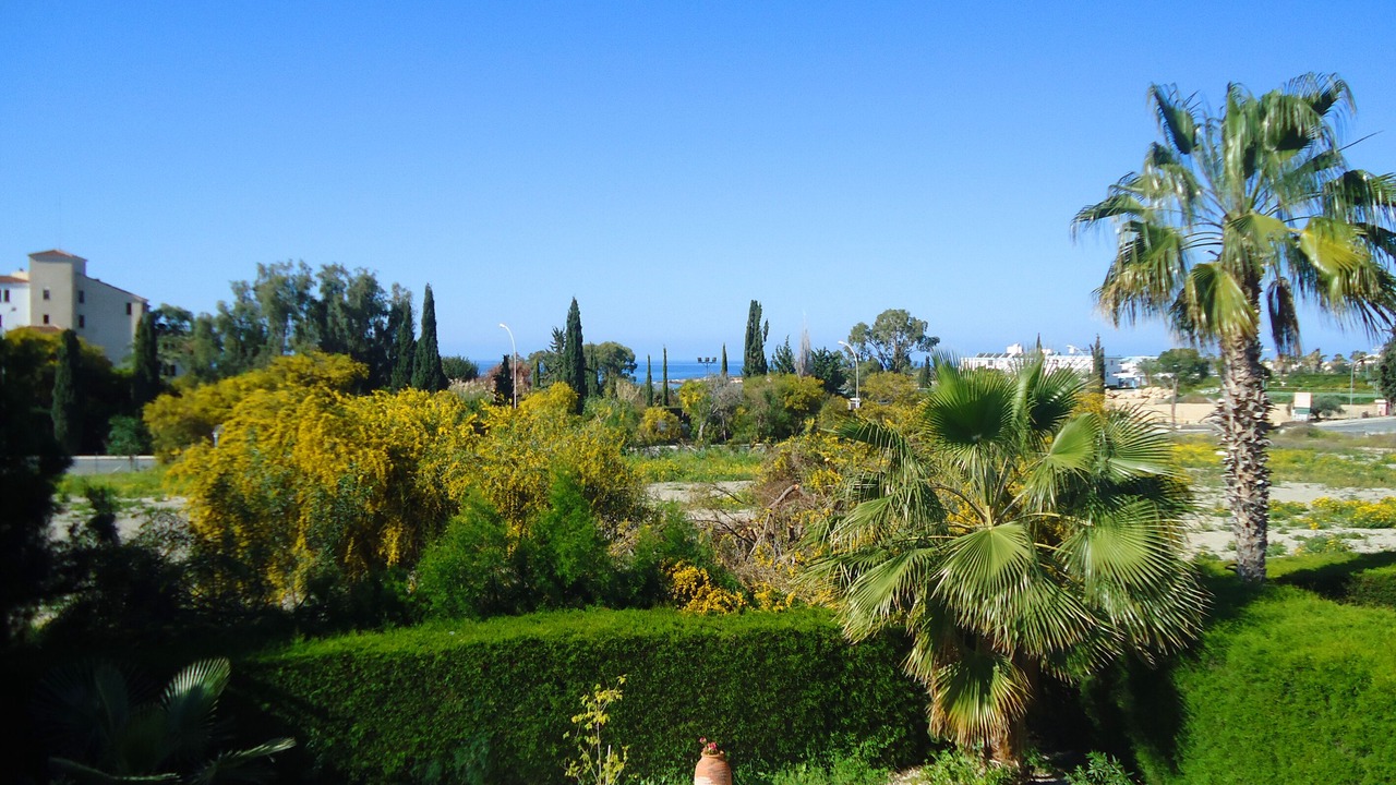Photo of Others in Pegeia