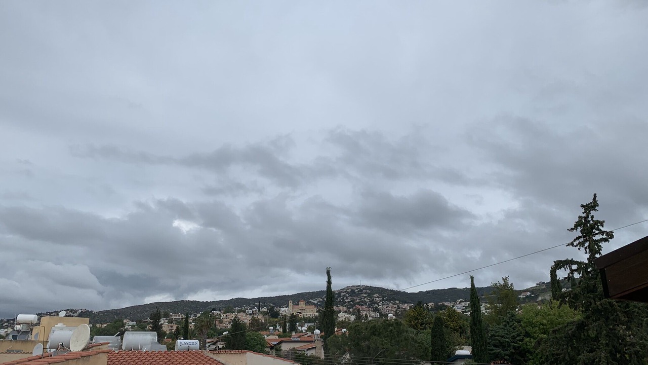 Photo of Others in Tala