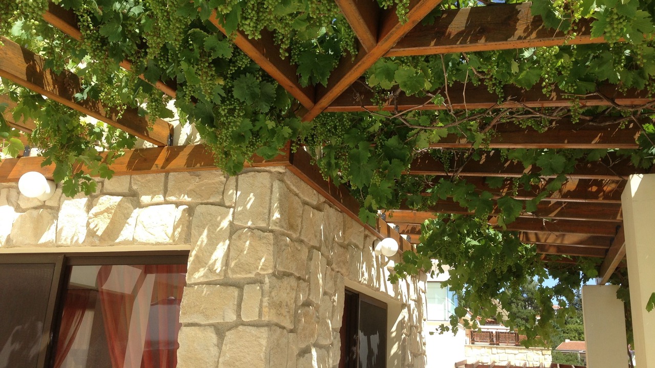 Photo of Others in Tala