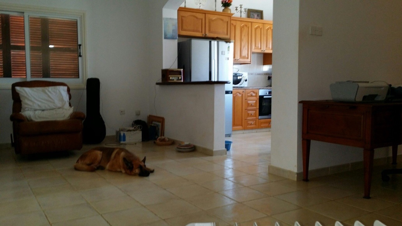 Photo of Others in Pissouri