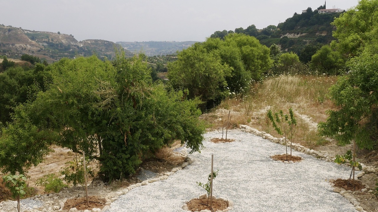 Photo of Outdoor in Tsada