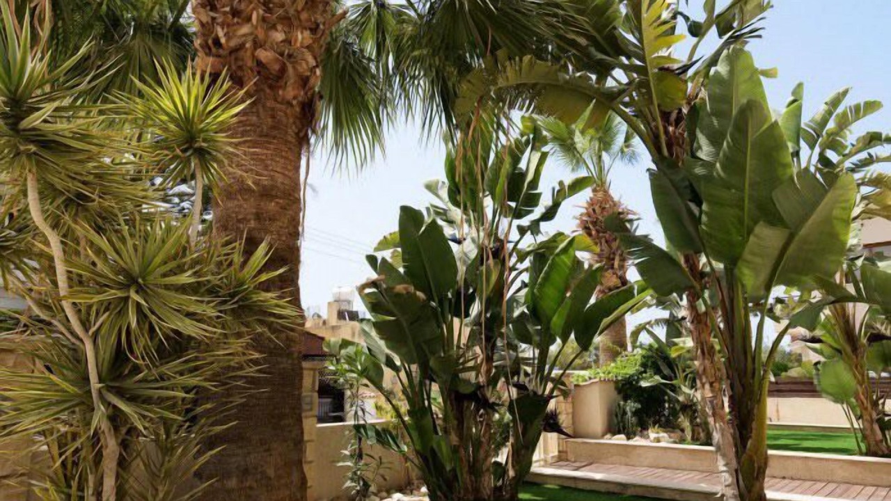 Photo of Outdoor in Paphos