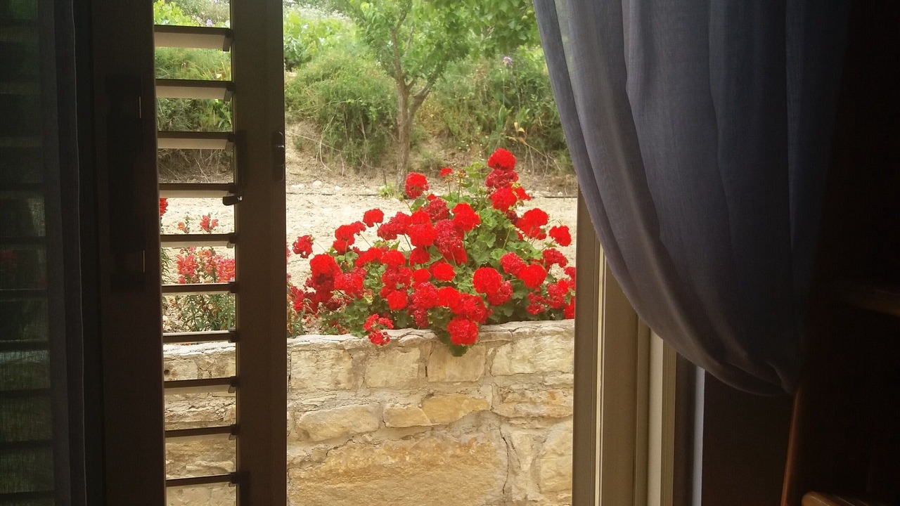 Photo of Others in Pano Akourdalia