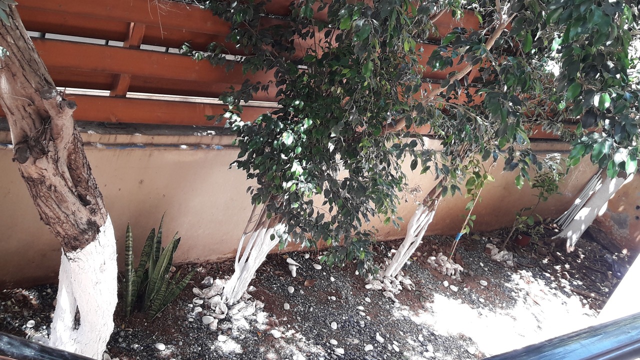 Photo of Outdoor in Limassol