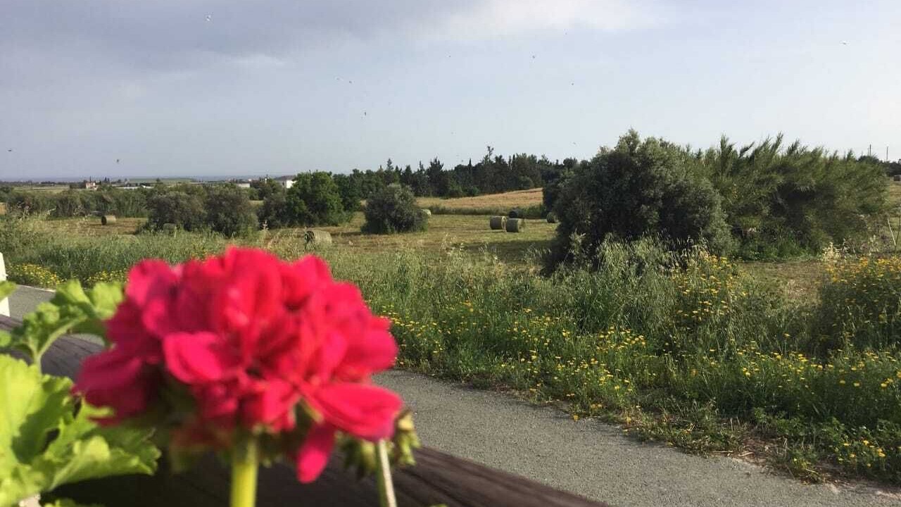 Photo of Outdoor in Tersefanou