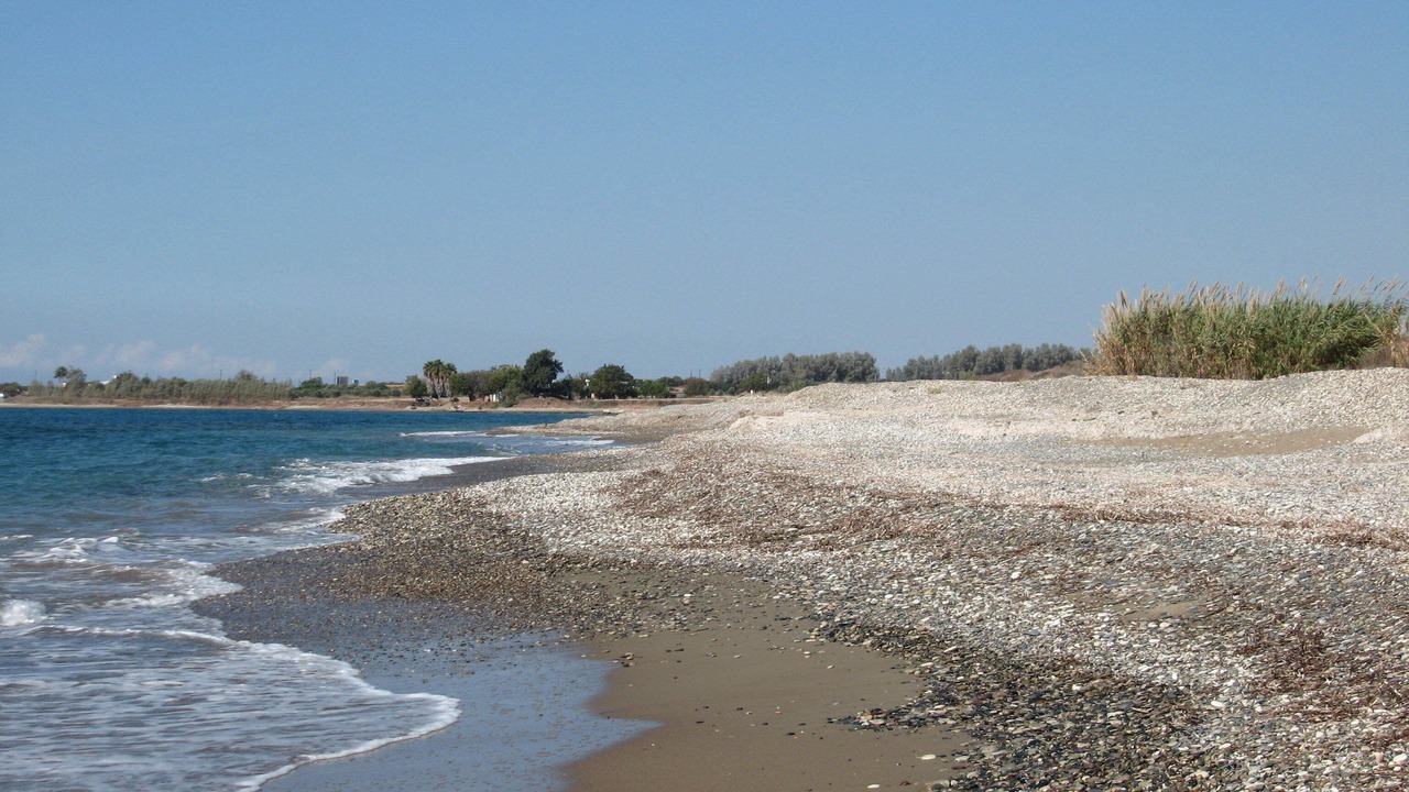 Photo of Others in Mandria