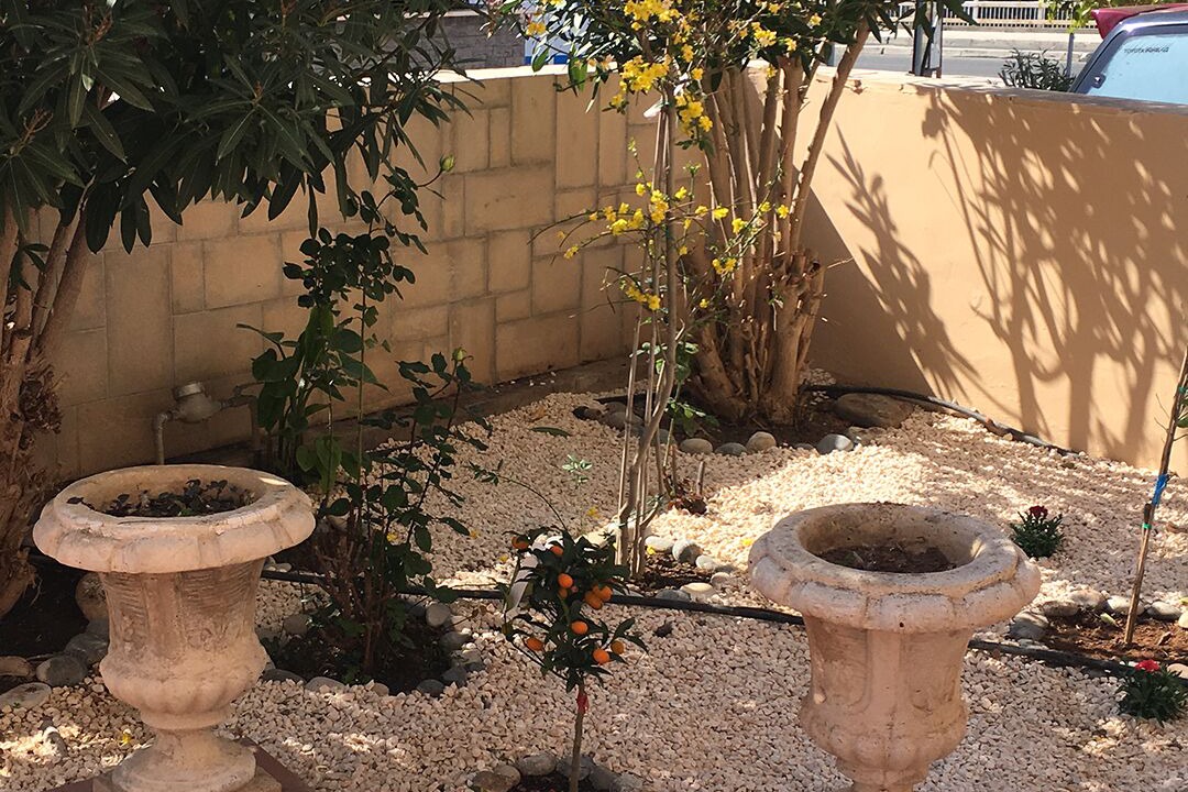 Photo of Outdoor in Paphos