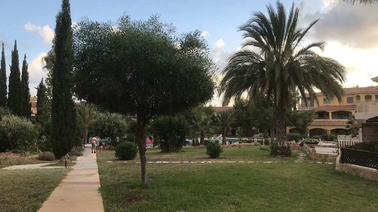 Photo of Others in Paphos