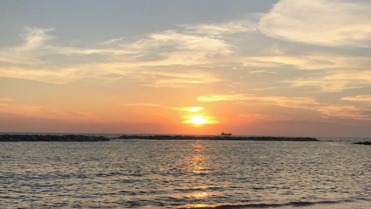Photo of Others in Paphos