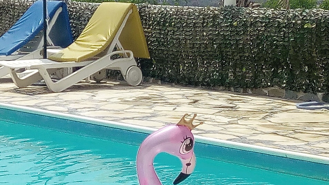 Photo of Outdoor in Pegeia