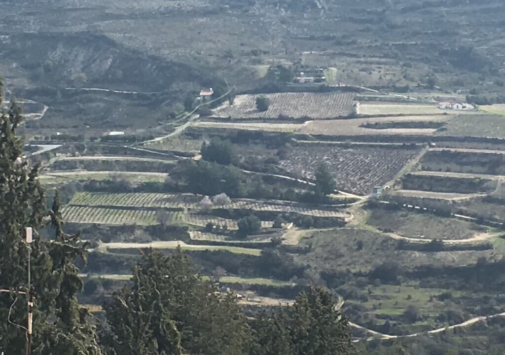 Photo of Outdoor in Koilani