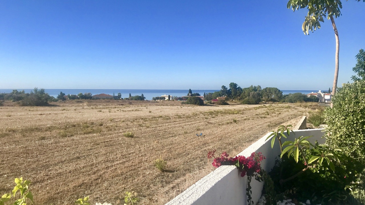 Photo of Others in Pegeia