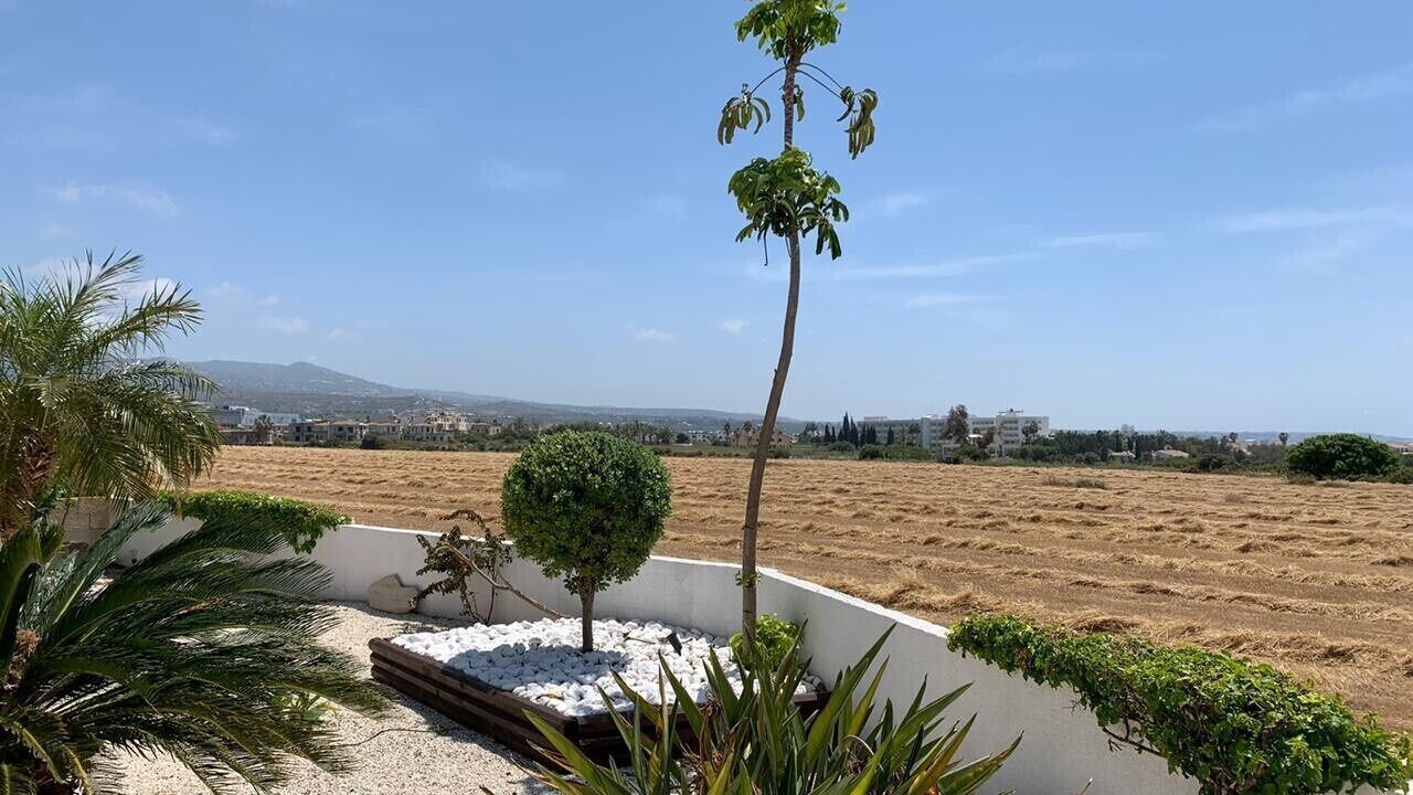 Photo of Outdoor in Pegeia