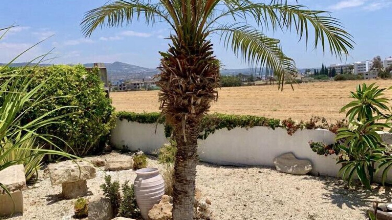 Photo of Outdoor in Pegeia