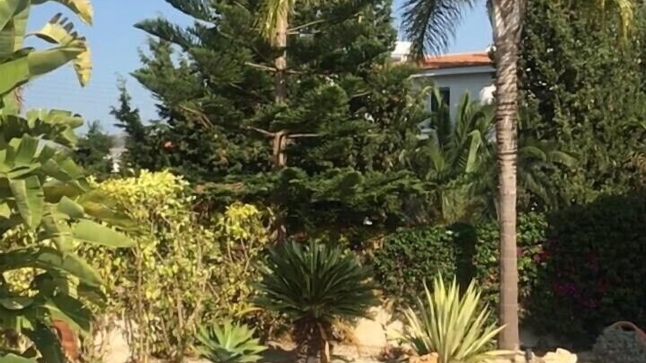 Photo of Outdoor in Pegeia