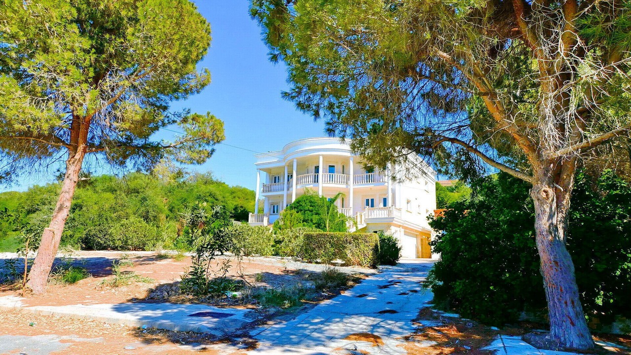 Photo of Others in Pegeia