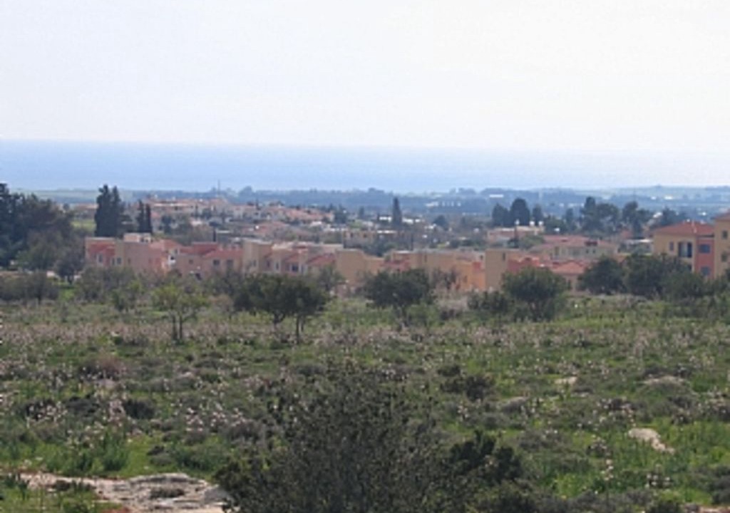 Photo of Others in Anarita