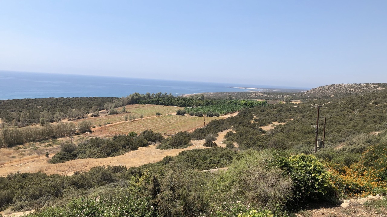Photo of Others in Pegeia