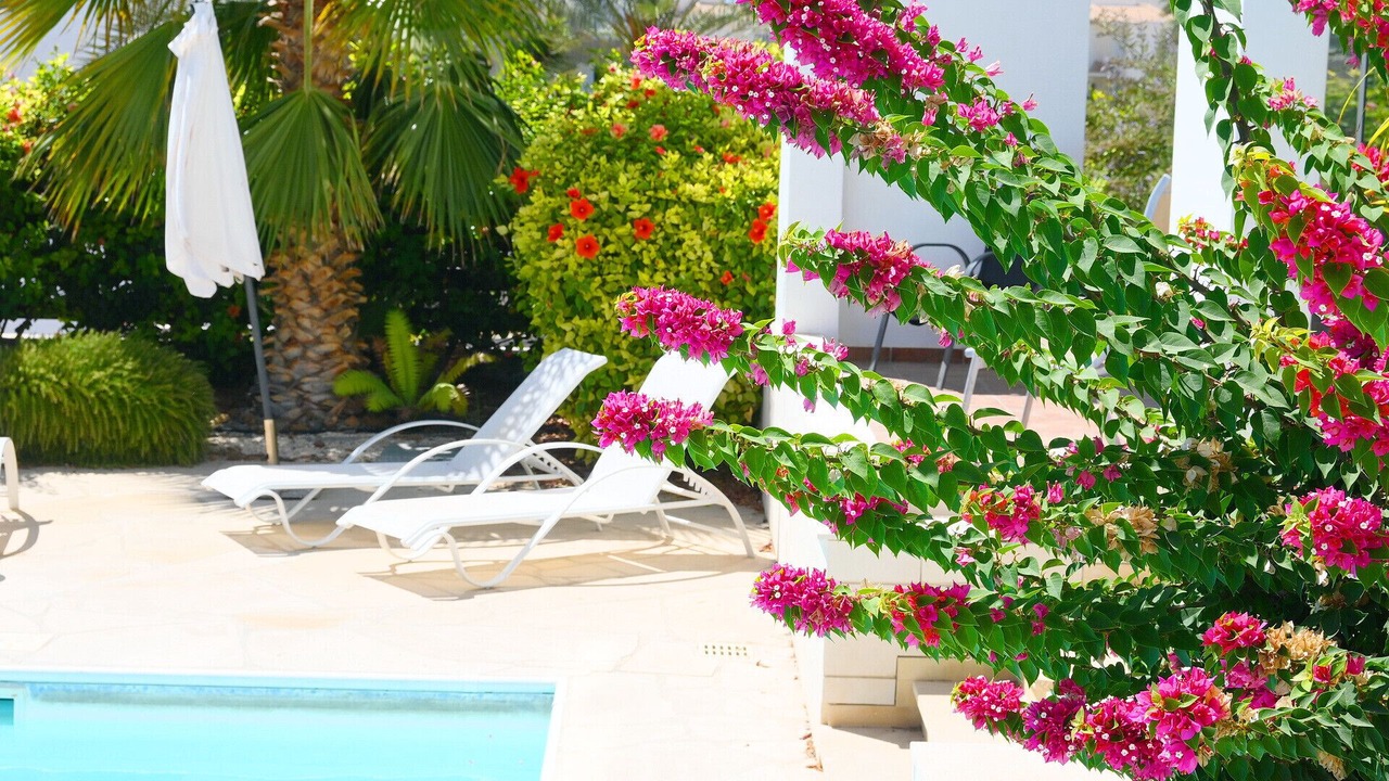 Photo of Outdoor in Pegeia