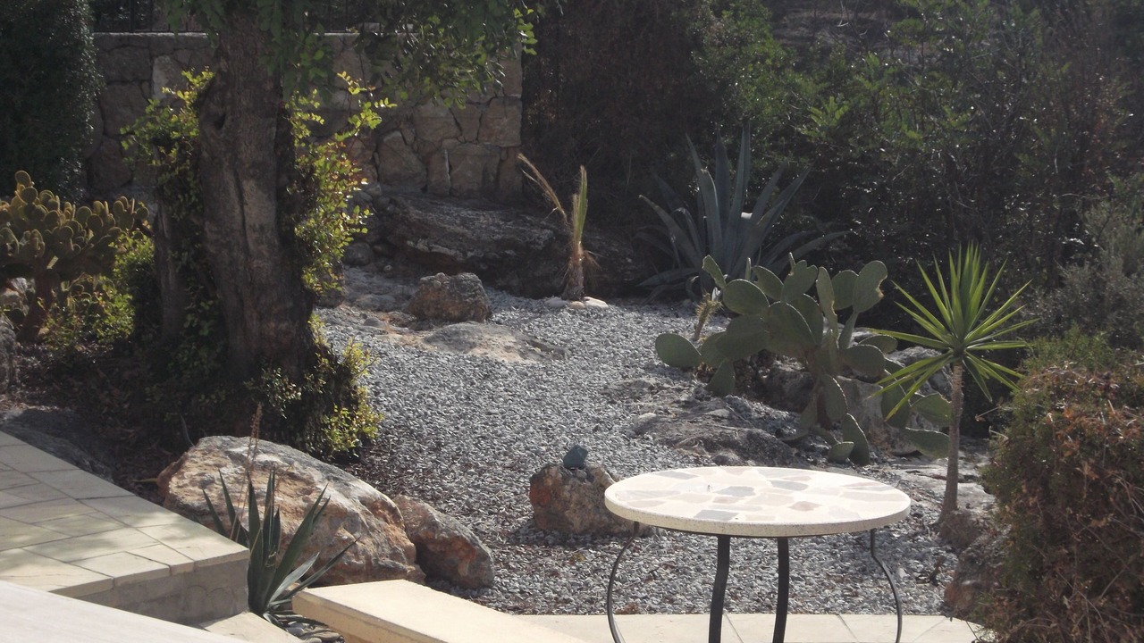 Photo of Outdoor in Esentepe