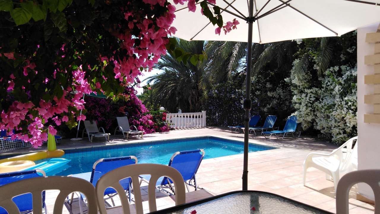 Photo of Outdoor in Pegeia