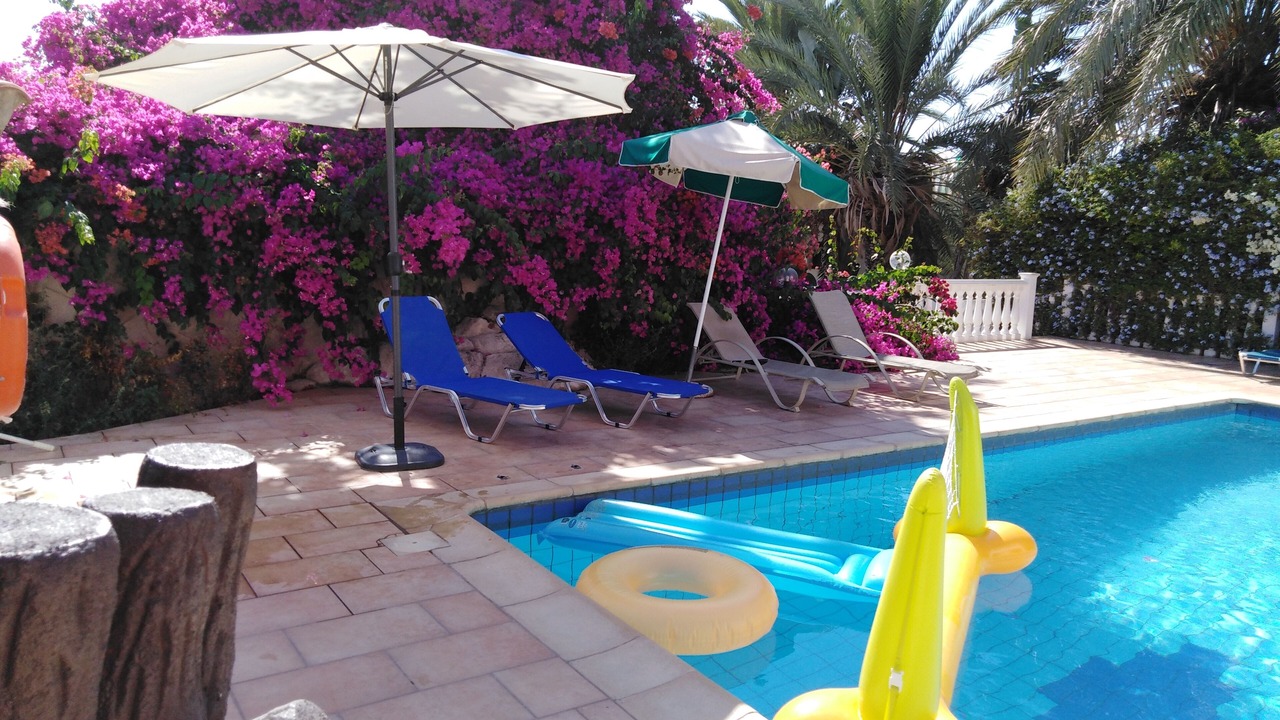 Photo of Outdoor in Pegeia