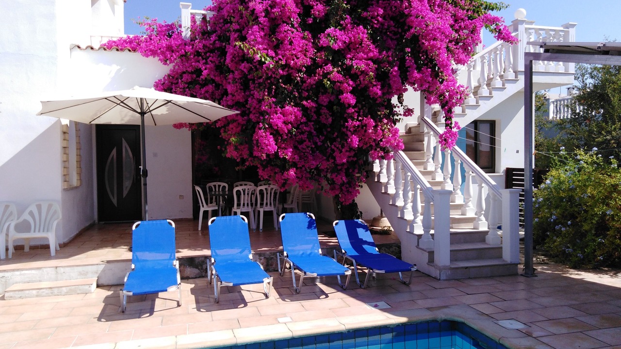 Photo of Outdoor in Pegeia